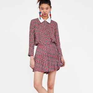 Zara zebra skirt and matching top